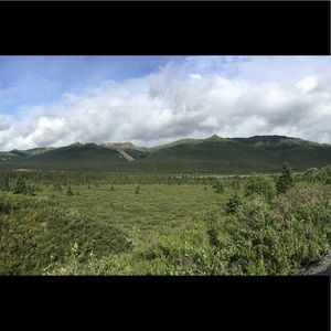 Meet your Posher, Frank